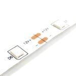Pink: 12V DC Pink 4040 LED Strip 4 Meter
