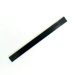 Female Berg Strip connector
